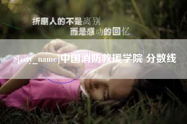 西藏中国消防救援学院 分数线