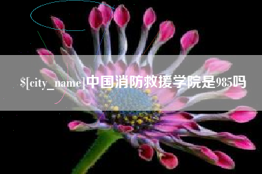 西藏中国消防救援学院是985吗