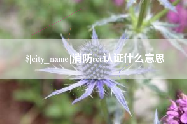 西藏消防ccc认证什么意思