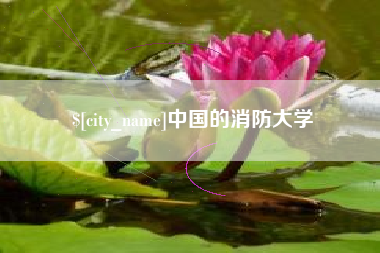 西藏中国的消防大学