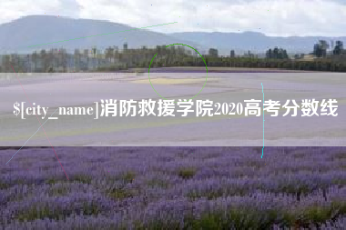 西藏消防救援学院2020高考分数线