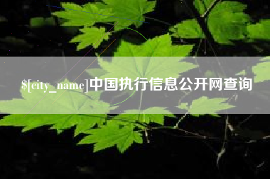 西藏中国执行信息公开网查询