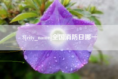 西藏全国消防日哪一