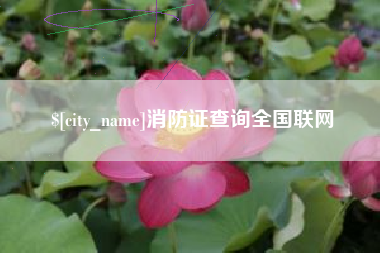 西藏消防证查询全国联网