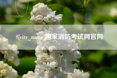 西藏国家消防考试网官网