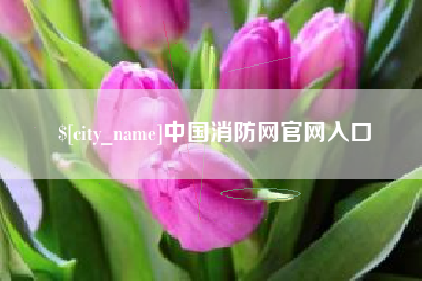 西藏中国消防网官网入口