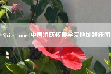 西藏中国消防救援学院地址路线图