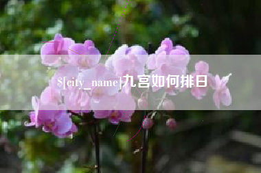 西藏九宫如何排日