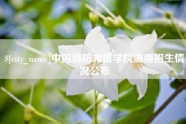 西藏中国消防救援学院湖南招生情况公布