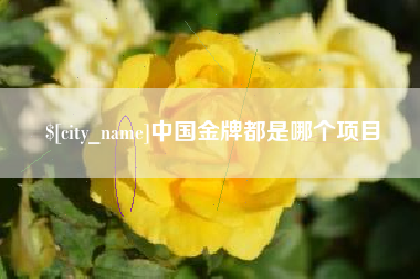 西藏中国金牌都是哪个项目