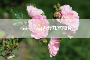 西藏古代九宫图片
