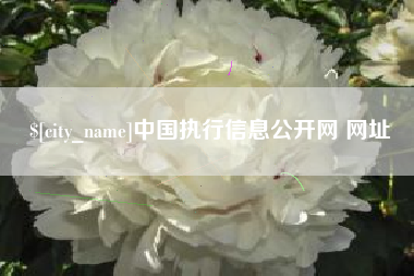 西藏中国执行信息公开网 网址