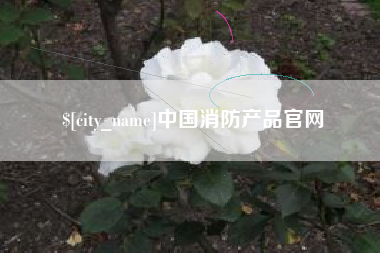 西藏中国消防产品官网