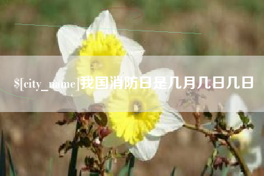 西藏我国消防日是几月几日几日
