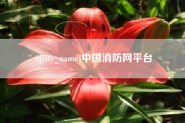 西藏中国消防网平台
