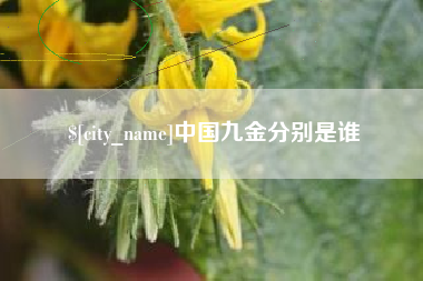 西藏中国九金分别是谁