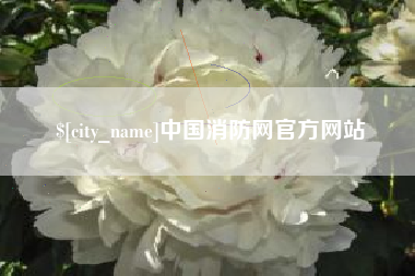 西藏中国消防网官方网站