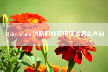 西藏消防职业资格证书怎么查询