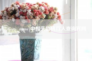 西藏中国失信执行人查询官网