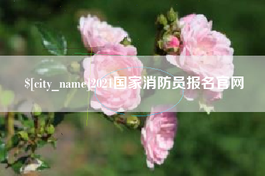 西藏2021国家消防员报名官网