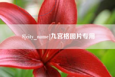 西藏九宫格图片专用