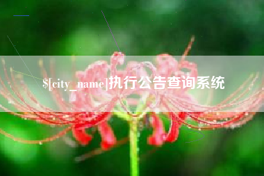 西藏执行公告查询系统