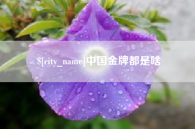 西藏中国金牌都是啥