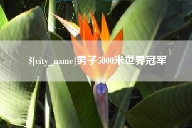 西藏男子5000米世界冠军