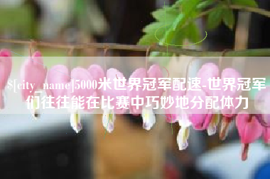 西藏5000米世界冠军配速-世界冠军们往往能在比赛中巧妙地分配体力