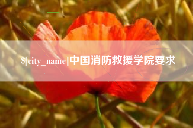 西藏中国消防救援学院要求