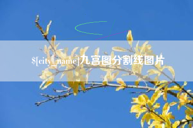 西藏九宫图分割线图片