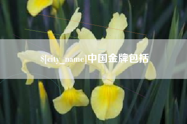 西藏中国金牌包括