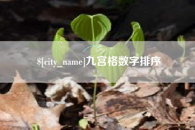 西藏九宫格数字排序