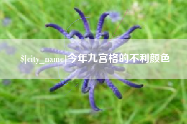 西藏今年九宫格的不利颜色