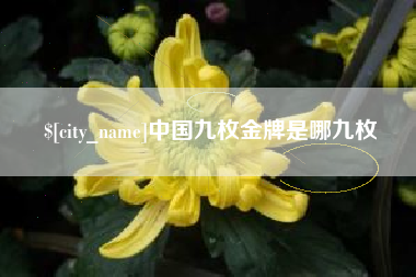 西藏中国九枚金牌是哪九枚