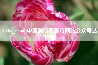 西藏中国消防网官方网站公众号达伦特