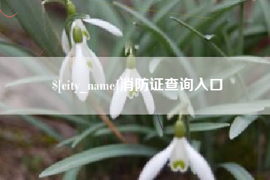 西藏消防证查询入口