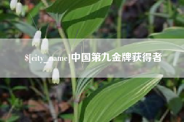 西藏中国第九金牌获得者