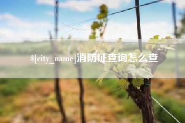 西藏消防证查询怎么查