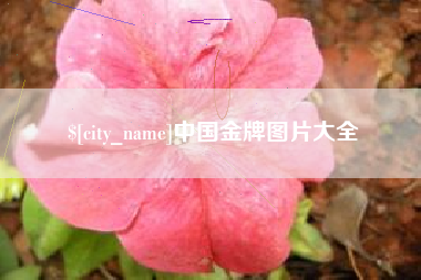 西藏中国金牌图片大全