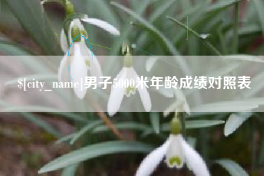 西藏男子5000米年龄成绩对照表