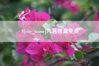 西藏九宫排盘免费