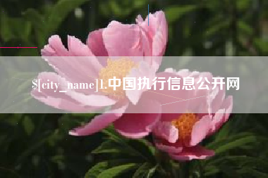 西藏1.中国执行信息公开网