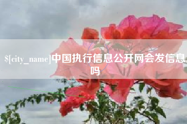 西藏中国执行信息公开网会发信息吗