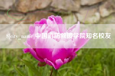西藏中国消防救援学院知名校友