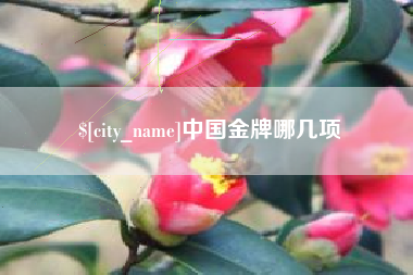 西藏中国金牌哪几项