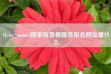 西藏国家应急救援员报名网址是什么
