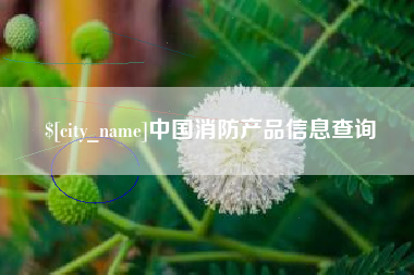 西藏中国消防产品信息查询