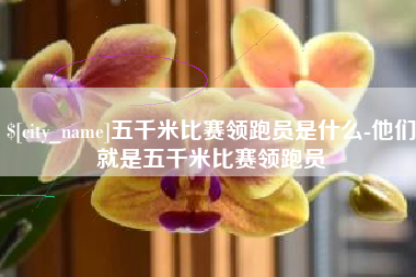 西藏五千米比赛领跑员是什么-他们就是五千米比赛领跑员