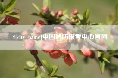 西藏中国消防报考中心官网